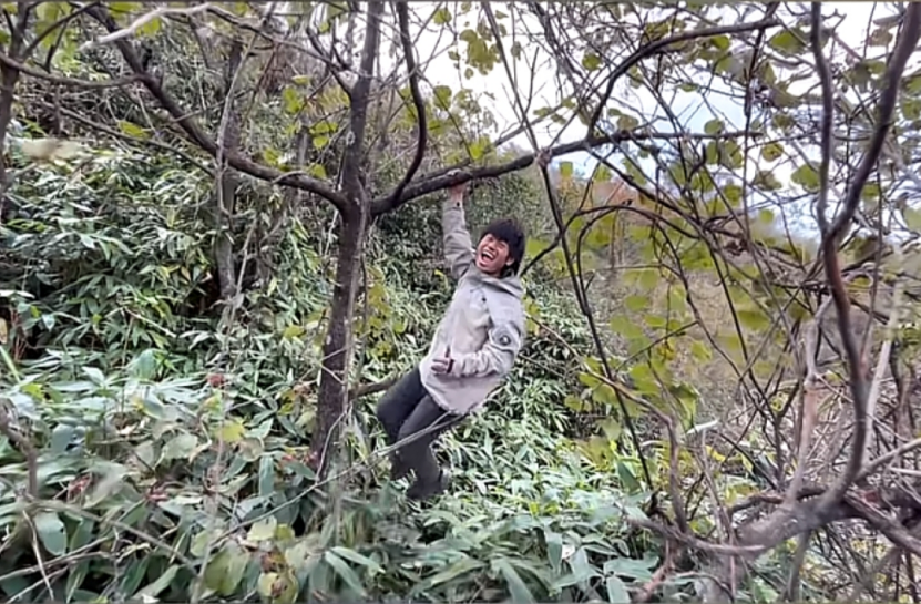 冷美人坚持37天获8666元