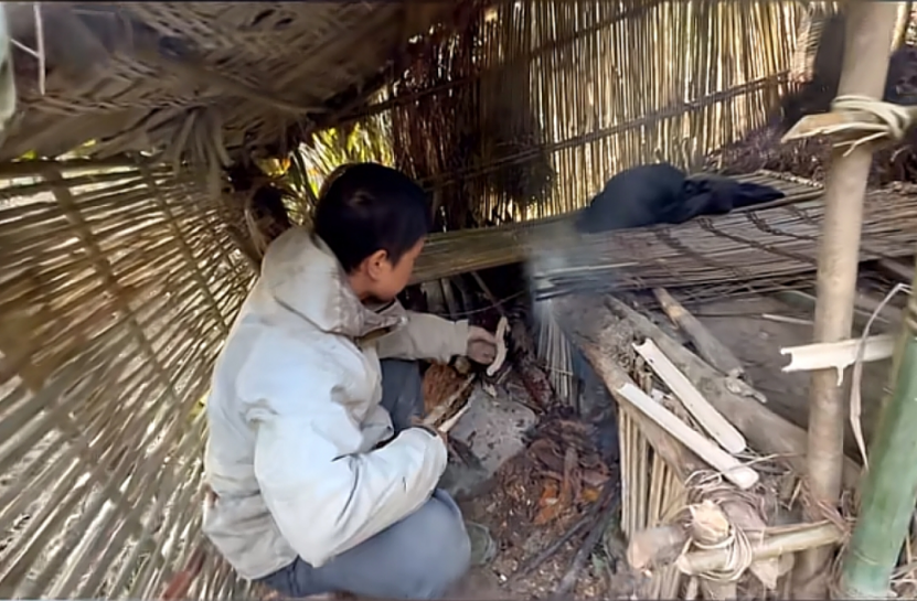 冷美人坚持37天获8666元