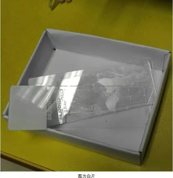 什么是病理蜡块蜡块与切片是什么？可以外借么？_https://www.jmylbn.com_新闻资讯_第4张