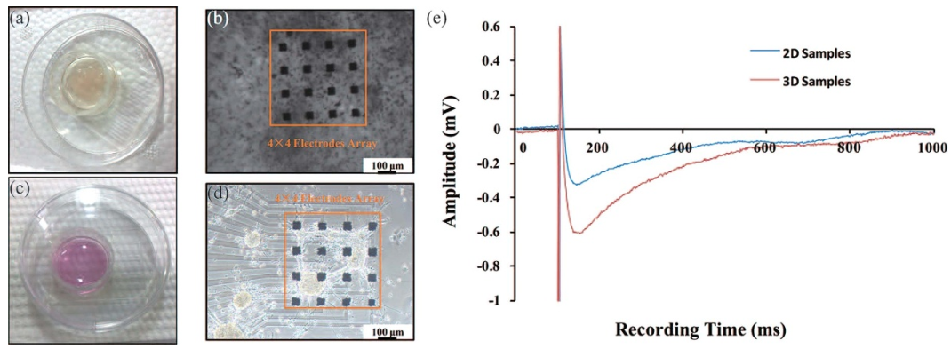 Med怎么电写医学科研中心仪器介绍（十五）∣ MED64平面微电极阵列记录系统_https://www.jmylbn.com_新闻资讯_第3张