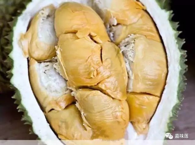 640?wx_fmt=png&tp=webp&wxfrom=5&wx_lazy=1&wx_co=1