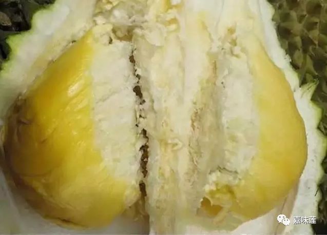 640?wx_fmt=png&tp=webp&wxfrom=5&wx_lazy=1&wx_co=1