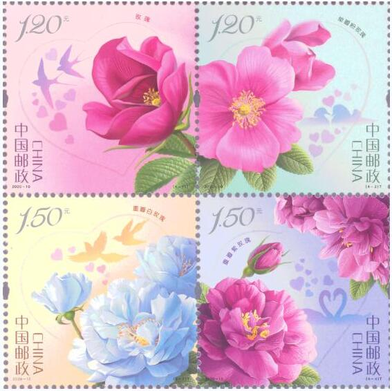 【玫瑰史话】平阴玫瑰产业发展大事记