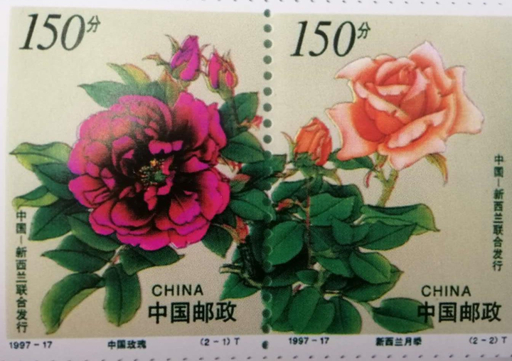 【玫瑰史话】平阴玫瑰产业发展大事记