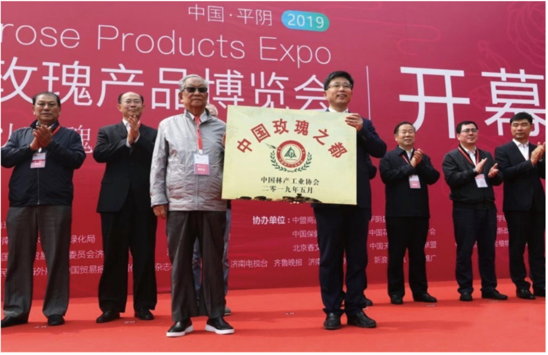 【玫瑰史话】平阴玫瑰产业发展大事记