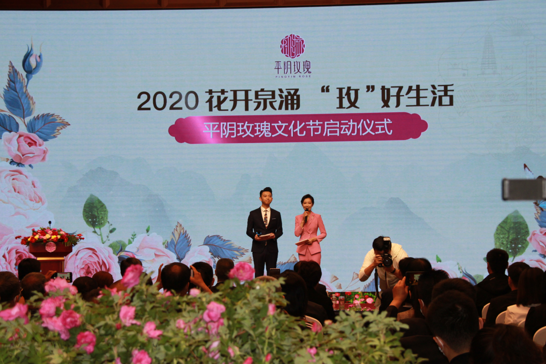 【玫瑰史话】平阴玫瑰产业发展大事记