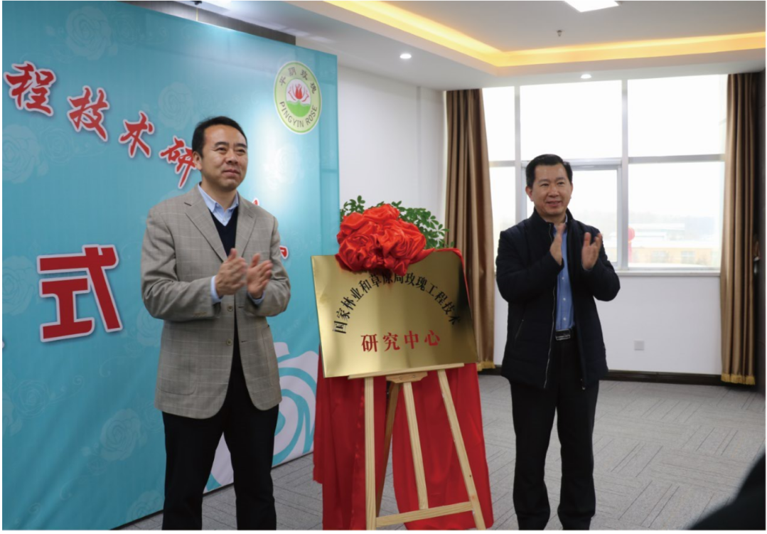 【玫瑰史话】平阴玫瑰产业发展大事记