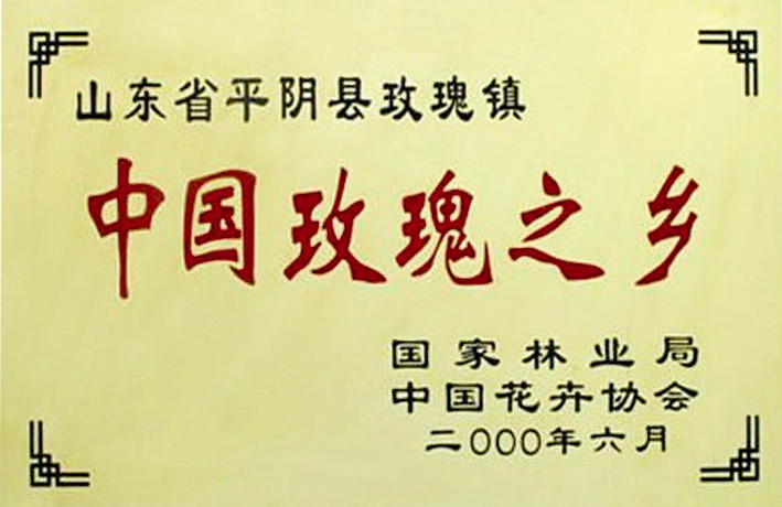 【玫瑰史话】平阴玫瑰产业发展大事记