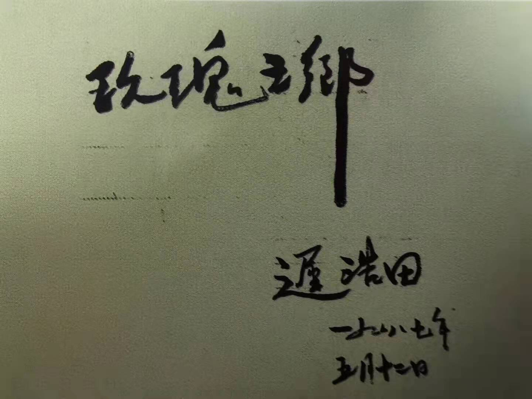 【玫瑰史话】平阴玫瑰产业发展大事记