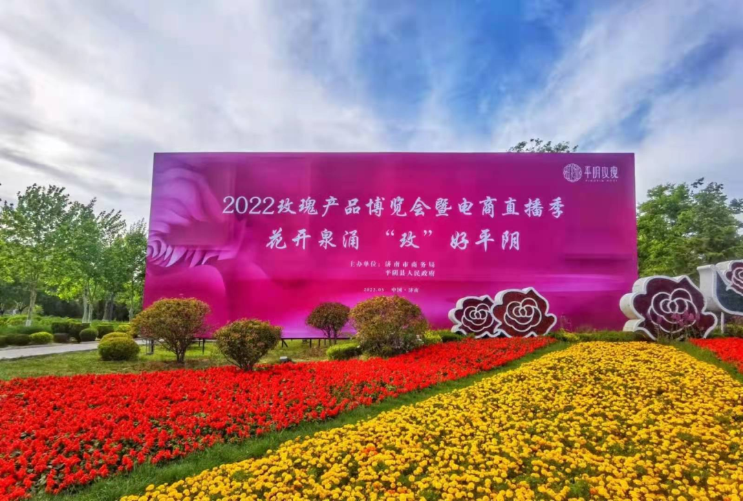 【玫瑰史话】平阴玫瑰产业发展大事记