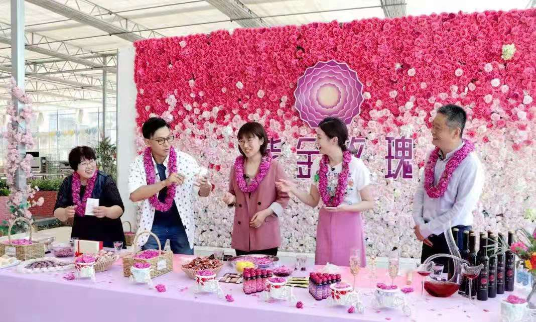 【玫瑰史话】平阴玫瑰产业发展大事记