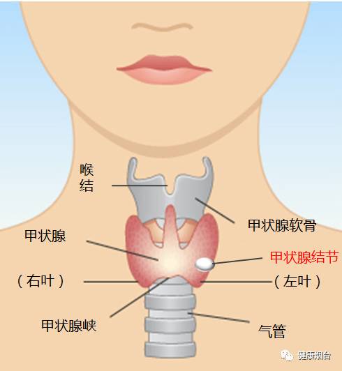 查出