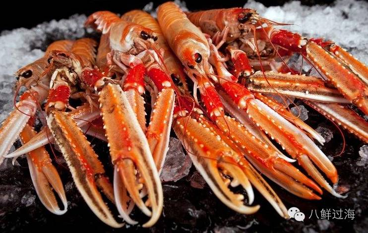 挪威海鳌虾:从码头到先进加工流水线,被端上餐桌的精品龙虾!
