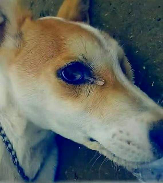 365bet最新版下载 365bet官网app 客户端下载