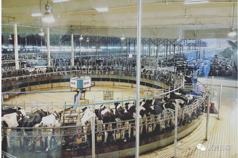 微信图片_20181018105149