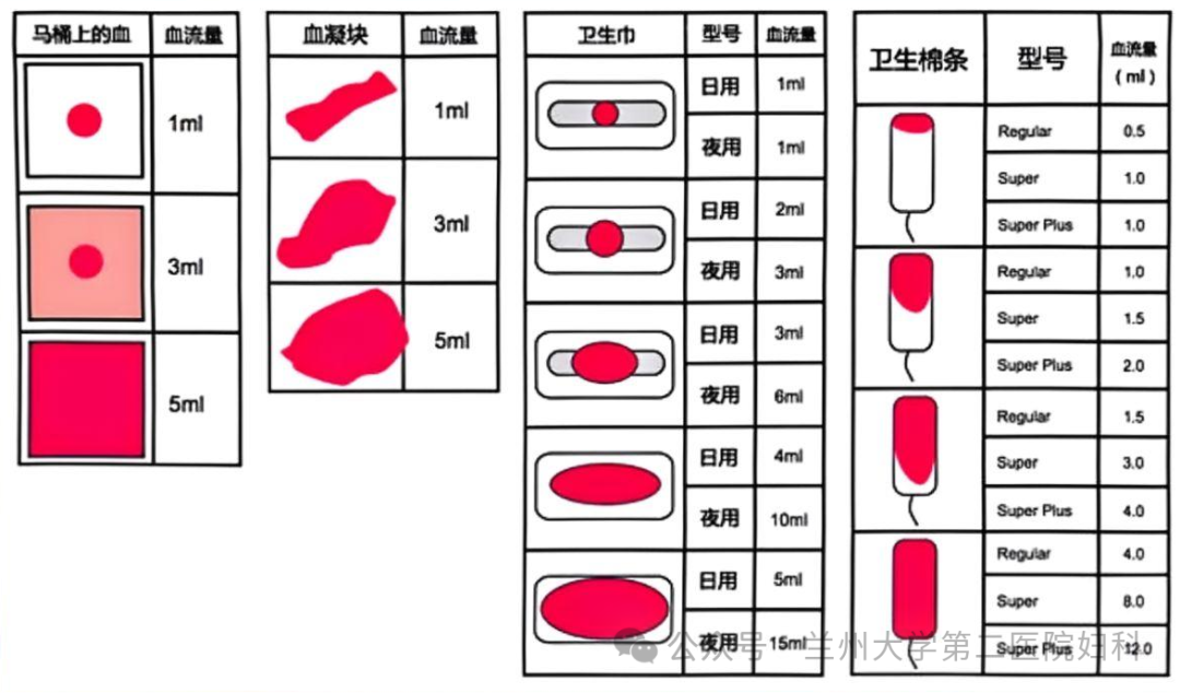 例假是哪一天算的周期表