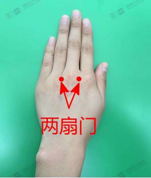 【作用】:揉掐两扇门能发汗透表,退热平喘,是发汗的有效之穴.