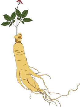 为什么到了夏天慢阻肺更厉害医科普·专家治专病之陈永贺谈慢阻肺如何做到“冬病夏治”_https://www.jmylbn.com_新闻资讯_第2张