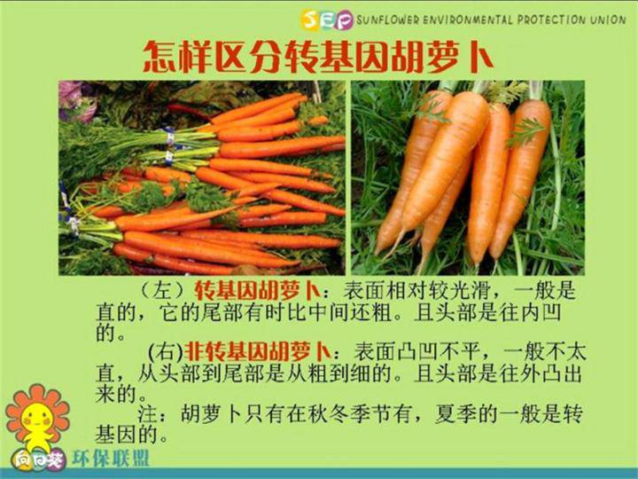 转基因食品能吃吗?看看澳洲怎么规定!