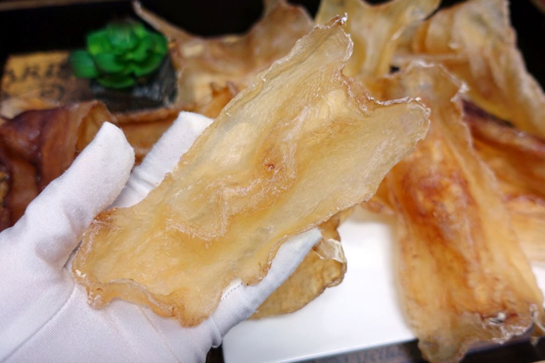 一碗营养不流失的鱼胶，从泡发开始！满满都是胶原蛋白！