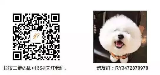 預防貓咪皮膚病有妙招 寵物 第12張