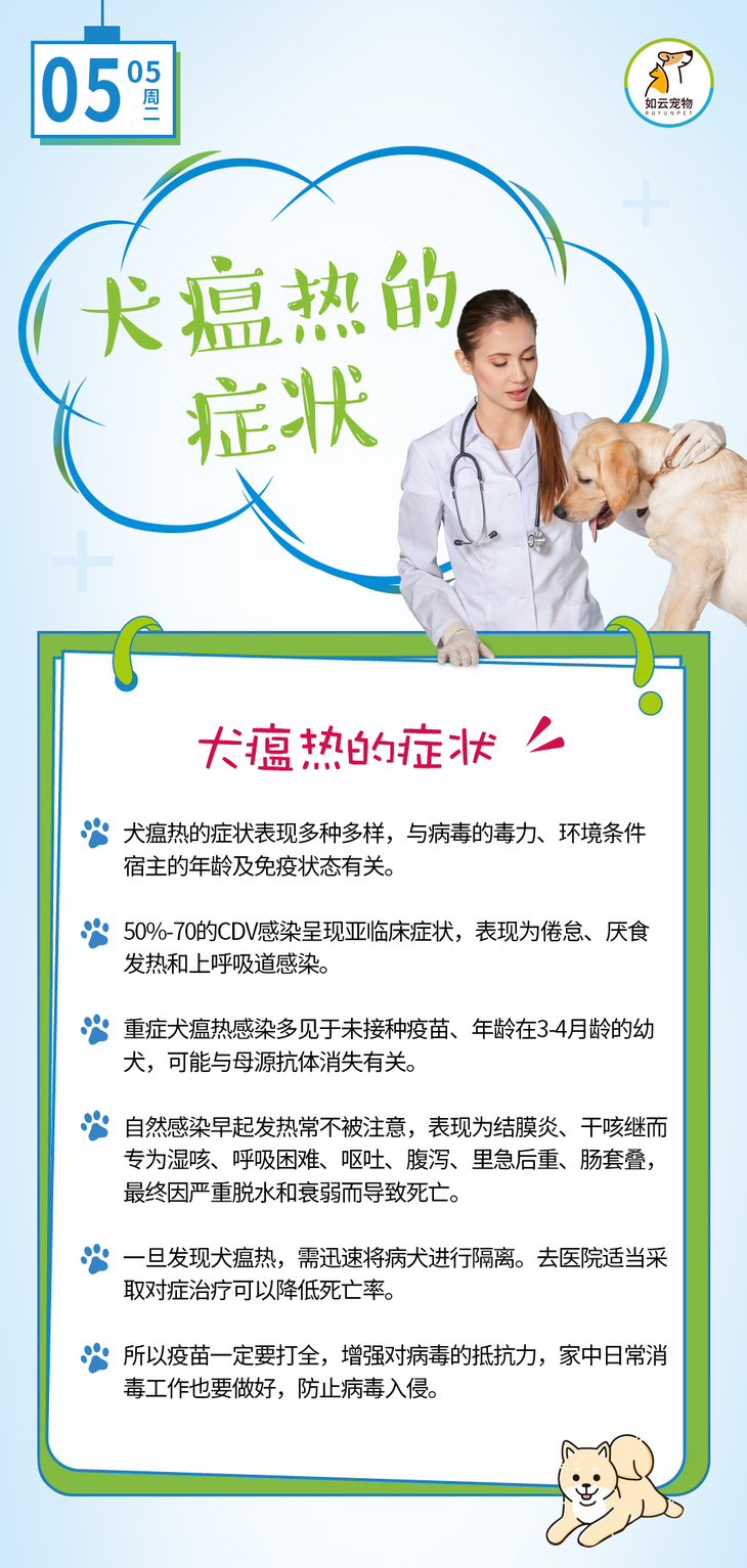 犬瘟热的症状 每天一个养宠小知识 萌宠 训练养宠技巧 宠物用品 微信头条新闻公众号文章收集网