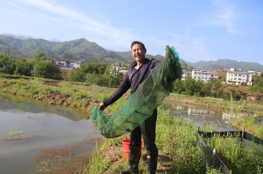 致富经龙虾养殖视频全集_致富经小龙虾_致富经小龙虾养殖视频播放