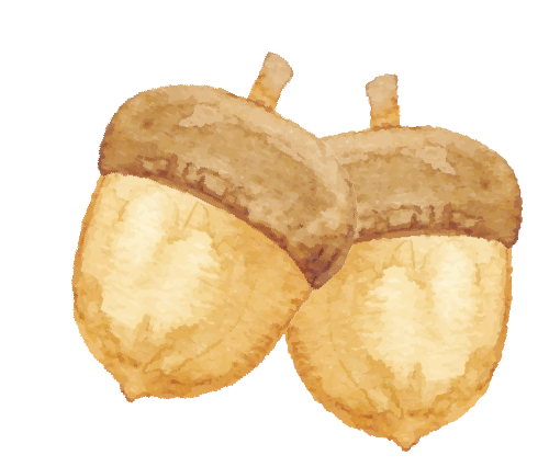 医疗试剂是什么国内外医疗机构自制试剂监管政策发展历史与借鉴_https://www.jmylbn.com_新闻资讯_第4张