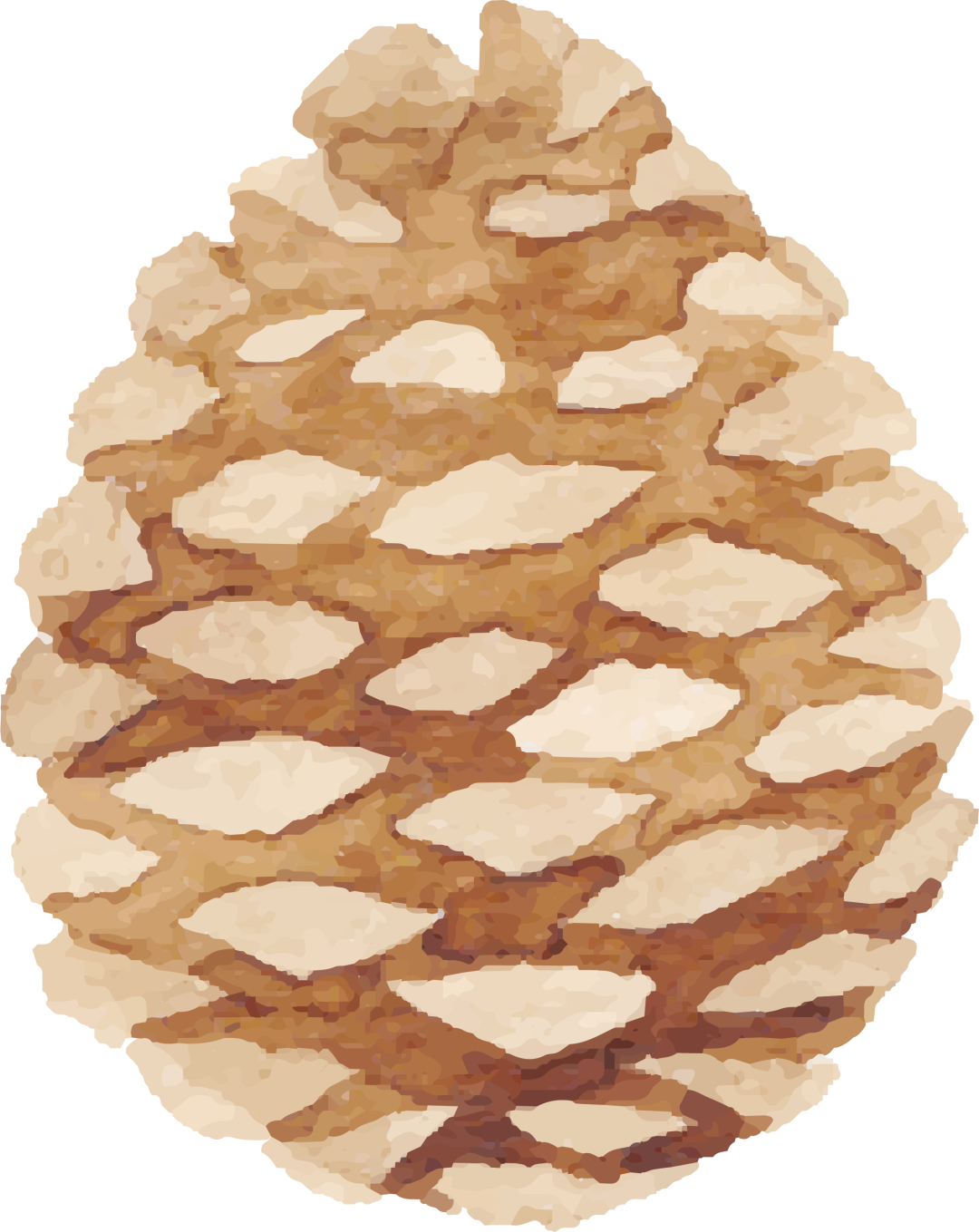 医疗试剂是什么国内外医疗机构自制试剂监管政策发展历史与借鉴_https://www.jmylbn.com_新闻资讯_第5张