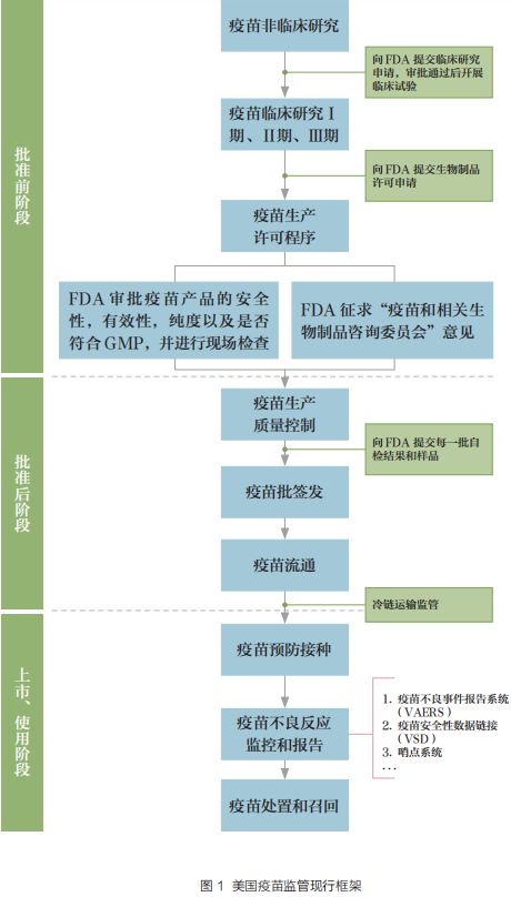 周末文摘 | 美國疫苗技術規範和監管制度分析 健康 第3張