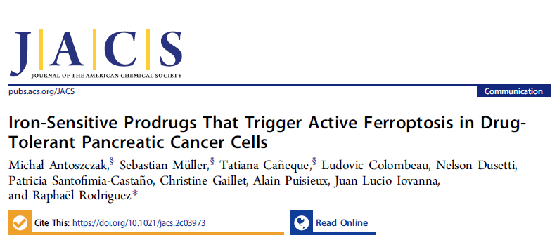 在耐药胰腺癌细胞中触发主动铁死亡的铁敏感前药物