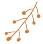 江蘇高考錄取可以查了嗎_江蘇高考能查錄取結果了嗎_江蘇高考錄取查詢什么時候可以查