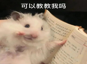 image.png 图片