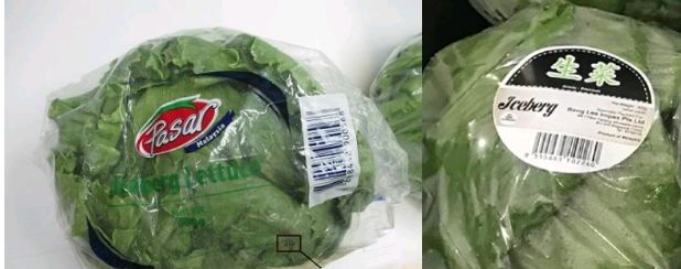 新加坡进口蔬菜检测出农药超标 已购买的注意了！-热点新加坡
