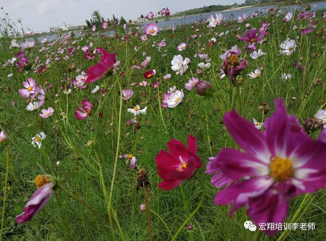 4000个不同汉字的注音 为孩子收藏吧 宏翔培训李老师 微信公众号文章阅读 Wemp