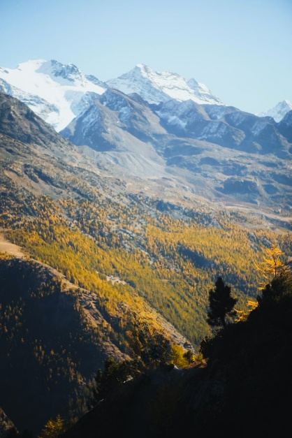 智能存储 ：一站式AI内容识别加速内容生产