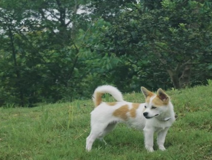 建水美团网_团建去哪里_去土耳其旅游跟团去好吗