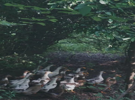 团建去哪里_去土耳其旅游跟团去好吗_建水美团网