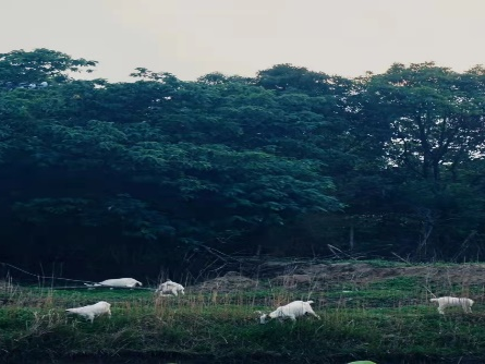团建去哪里_去土耳其旅游跟团去好吗_建水美团网