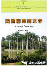 西南林業(yè)大學(xué)收分線_林業(yè)分?jǐn)?shù)西南線大學(xué)多少_西南林業(yè)大學(xué)分?jǐn)?shù)線