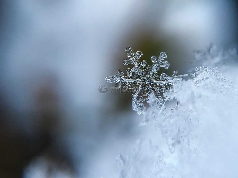 第一场雪 来看看和雪有关的书 译言 微信公众号文章阅读 Wemp