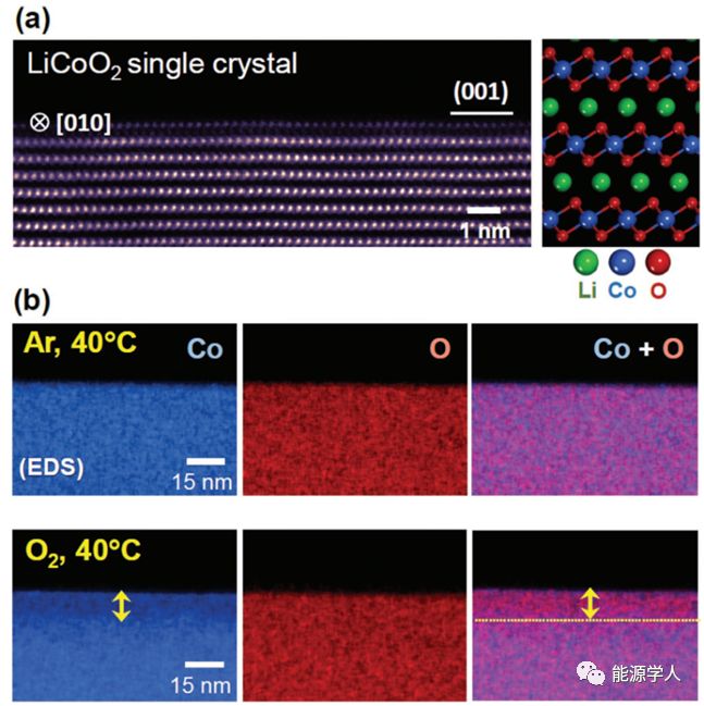 LiFePO4、LiCoO2在水系电解液中的溶解性探究