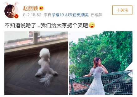 趙麗穎和馮紹峰結婚？兩個月前不還在否認緋聞嗎？ 娛樂 第9張