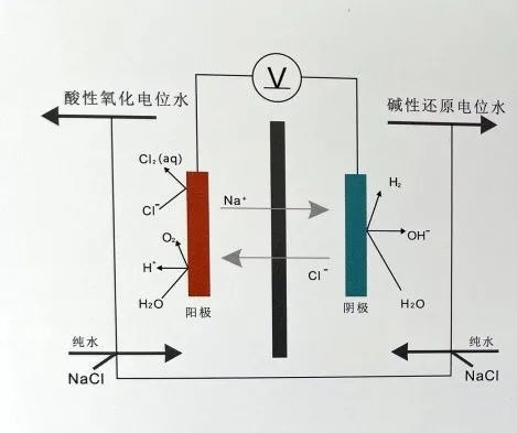 什么是氧化电位水酸性氧化电位水_https://www.jmylbn.com_新闻资讯_第1张