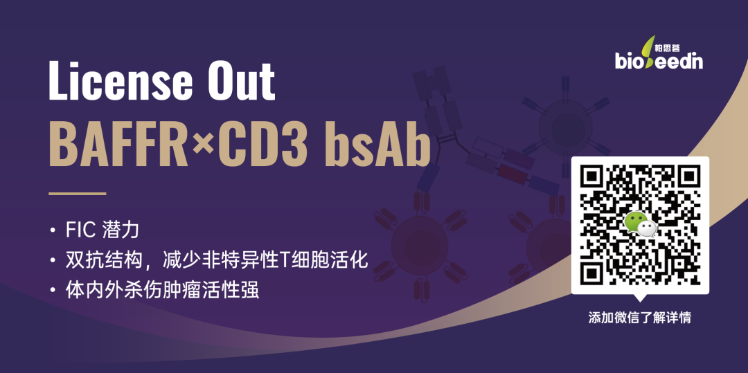 bf是什么细胞B细胞系列专栏（一）｜ 拯救迷途的B细胞-上海聚慕医疗器械有限公司