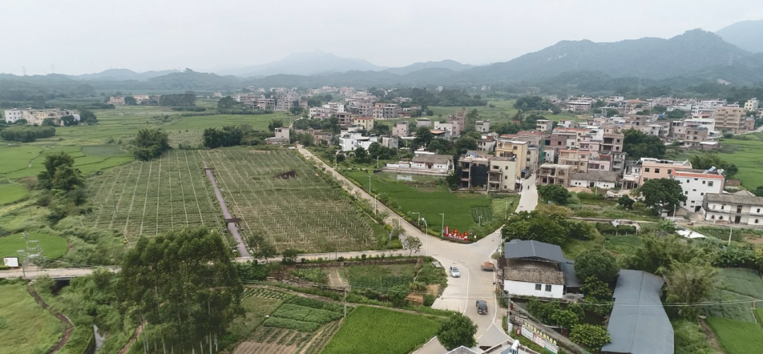 发展合力,将源城区埔前村,坪围村,上村村高围村,陂角村5个村串珠成链