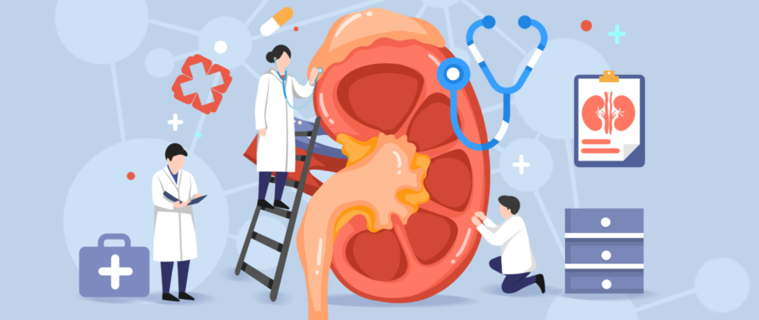 保护肾脏卡通图片