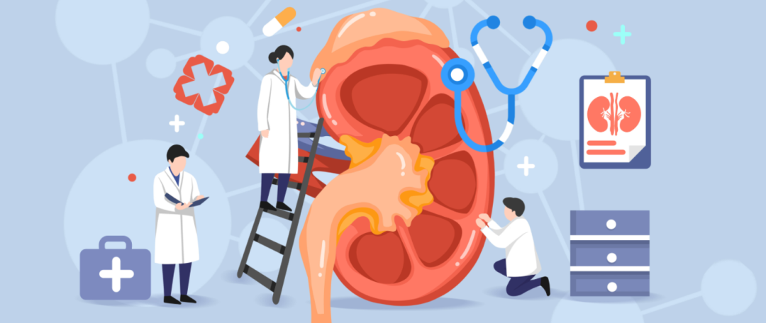 和治友德|世界肾脏日-肾是生命之本 关注肾健康 直销行业网 | 做有态