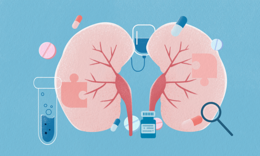 和治友德|世界肾脏日-肾是生命之本 关注肾健康 直销行业网 | 做有