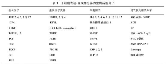 人體中的神奇藥囊：間充質幹細胞分泌因子 健康 第4張